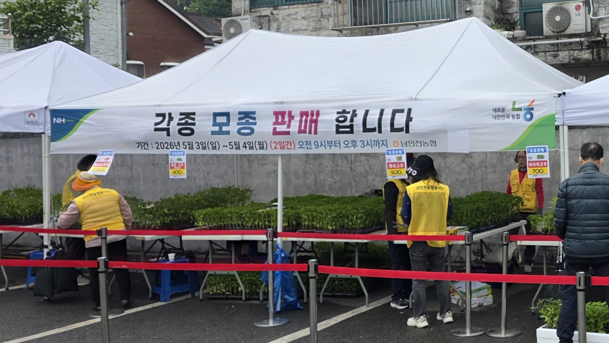 2026년도 모종판매(05.03~05.04) 대표이미지