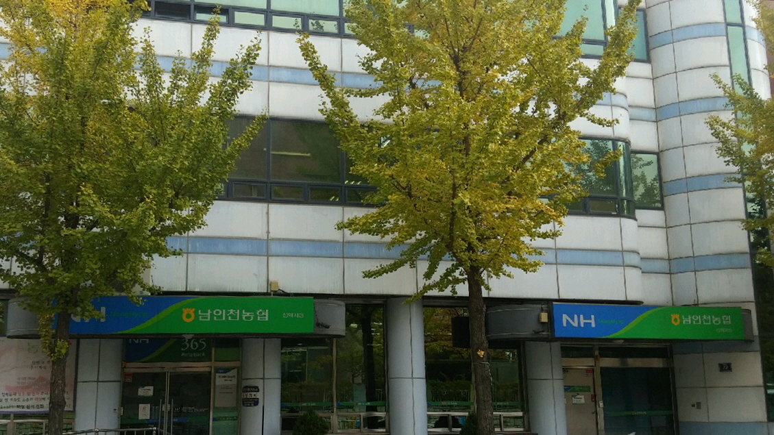선학 첨부 이미지