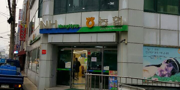 백운 첨부 이미지