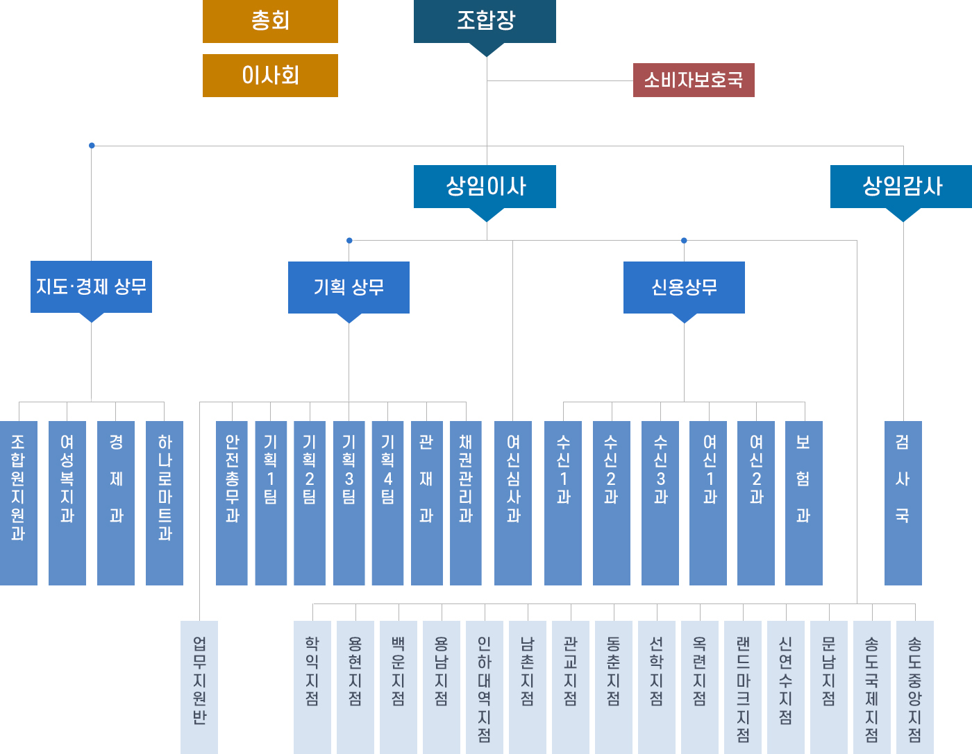 조직현황